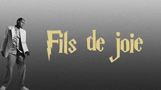 Stromae - Fils de joie (Paroles)