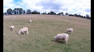 Прогулка по Котсуолдс (Cotswolds), Великобритания