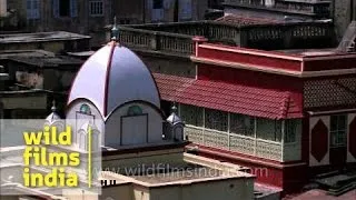 Top view of Kalighat Kali Temple - Kolkata