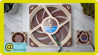 Are Noctua Fans Worth the Price?