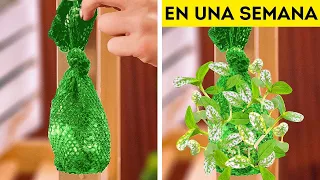 Trucos de Jardinería 101! Consejos y Técnicas Efectivas para Desbloquear tu Jardinero Interior