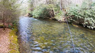 PA Wilderness Trout Stream - Lick Run