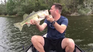 Bass Fishing Lake Polo Odessa, FL