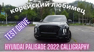 Palisade Calligraphy 2022. Test drive in Korea