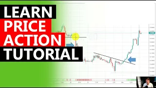 PRICE ACTION Trading Course - All You Need to Know