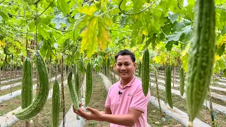 I'm Impressed! Sya ang Pinaka Magaling na VEGGIE FARMER from Pagtatanim, Pagbebenta at Pamumuhunan