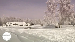 Как мы кормим коров зимой.