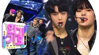 MONSTA X(몬스타엑스) - Alligator  @인기가요 Inkigayo 20190303