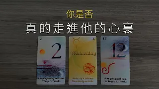 你是否真的走進他的內心？他內心對你是怎麼想的？他是否有想過你們的未來？|塔羅占卜/曖昧/愛情/感情