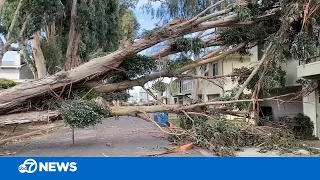 East Bay struggling with cleanup after windy, rainy, stormy weather