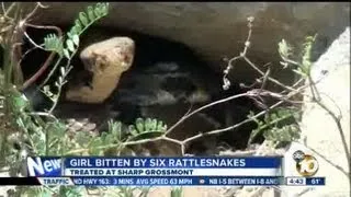 El Cajon teen recovers from six rattlesnake bites