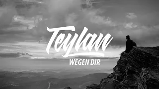 Teylan - Wegen Dir