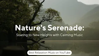 Nature's Serenade: Soaring to New Heights with Calming Music | Best Relaxation Music on YouTube