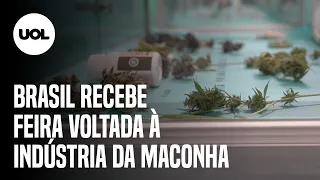 Em meio a debate nacional, Brasil recebe a primeira edição internacional da ExpoCannabis