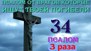 От врагов которые ищут твоей погибели псалом 34 слушать 3 раза #псалмы #православие