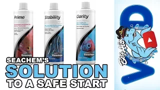 Seachem's Solution to a Safe Start | BigAlsPets.com