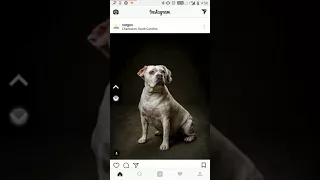 Instant Scroll for Instagram Demo