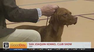 San Joaquin Kennel Club Show