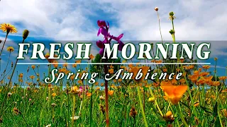 🌿🌞 Begin Your Day with the POSITIVE ENERGY of Healing Spring Sounds 🌿 Fresh Morning Meditation