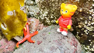 PEPPA PIG Bluey and Daniel Tiger TOYS Ocean Beach Creatures Crabs and Starfish