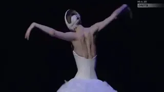 Svetlana Zakharova - A Morte do Cisne - Ballet Gala a La Scalla