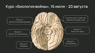 Как биология объясняет войны