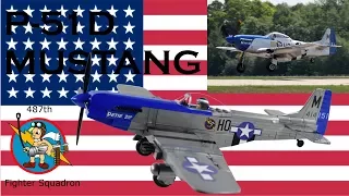 Small army WW2 P-51D MUSTANG (5536) Quick Build + Review