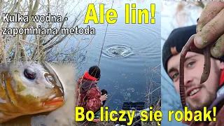 LINY LINY LINY! JUŻ RUSZYŁY - ZAPOMNIANA METODA - JAK ZŁOWIĆ LINA WIOSNĄ NA SPŁAWIK , przynęty liny