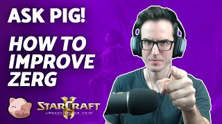 StarCraft 2 Coaching | How to improve my Zerg? | Ask PiG (11 May 22)