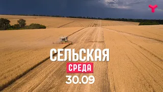 Сельская среда 30.09.2020