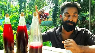 My Home Made Wine Making | ഞാൻ ഉണ്ടാക്കിയ വൈൻ  | M4 Tech |