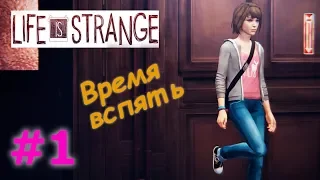 LIFE IS STRANGE Прохождение #1 - ВРЕМЯ ВСПЯТЬ