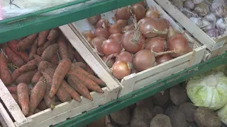 Цены на социально значимые продукты завышали в Шымкенте