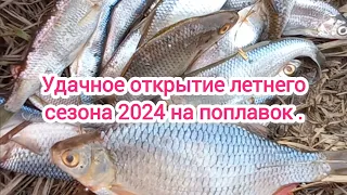 Открытие летнего сезона 2024 на поплавок . Рыбалка на поплавок . Поиск рыбных мест . Природа . Рыбак