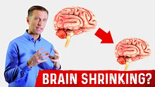 High Blood Sugar leads to Smaller Brains – Dr.Berg's Tips to Regenerate Brain