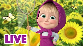 🔴 EN VIVO Masha y el Oso Castellano ☀️ Atrapar los rayos del sol 🌞 Masha and the Bear