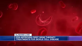 FDA approves first gene therapy treatments for sickle cell disease