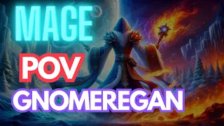 Mage POV Gnomeregan SOD phase 2 |  BOSS FIGHTS | Fire Mage DPS