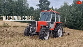 ✩ 🇵🇱 Talerzowanie 2023 w Świętokrzyskim! ✩ Massey 675 & Strumyk 2m! 🇵🇱 ✩