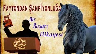 Dünyanın en hızlı yarış atı olan ECLİPS ve "baba"sinin hikayesi !!! (Osmanlı atı)