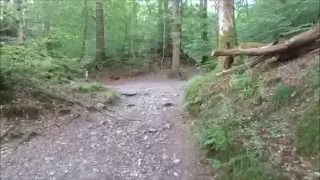 Lake District, Ambleside, England, UK  Stock Ghyll Force walk to the Waterfalls in HD 1080p