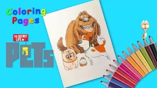 Coloring cartoon characters The Secret Life of Pets.  Coloring for kids.