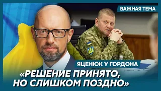 Яценюк о том, что очень раздражает Залужного