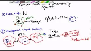 Cancer immunology (how cancer cells elude immune system)