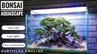 #171 WOOOWWW!!!Amazing Bonsai Aquascape with Buchepalandra