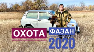 Охота на фазана 2020 лучшие моменты