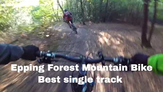 Epping Forest Mountain Bike Best single tracks