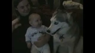 Dog makes baby laugh