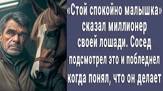 "Стой спокойно Малышка и не дергайся" сказал миллионер своей лошади, сосед побледнел, увидев это