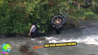🔴 Detik Detik Wisatawan Ketakutan Melihat Anaconda Raksasa Saat Menyusuri Sungai !! Hampir Saja...